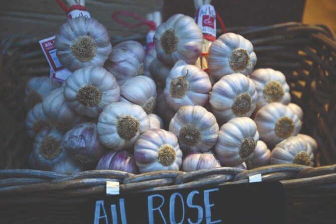 In Search of Tarn’s Pink Garlic