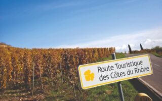 Seeing Rhône Valley White Wines in a Different Light