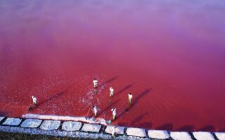 Worth Its Salt: The Story Behind France’s Iconic Fleur de Sel