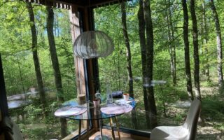 From Forest Canopy to Château Elegance: A Loire Valley Wine Escape
