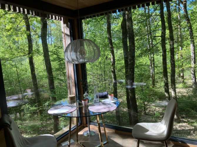 From Forest Canopy to Château Elegance: A Loire Valley Wine Escape