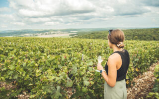 Troyes and the Soul of Southern Champagne