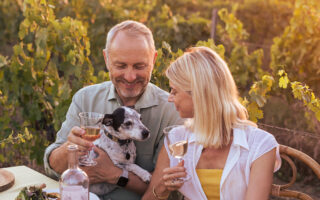 Maison Mirabeau: A Provençal Dream Poured Into Every Glass