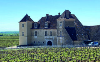 Burgundy’s New Route du Cassis: in Search of Blackcurrants