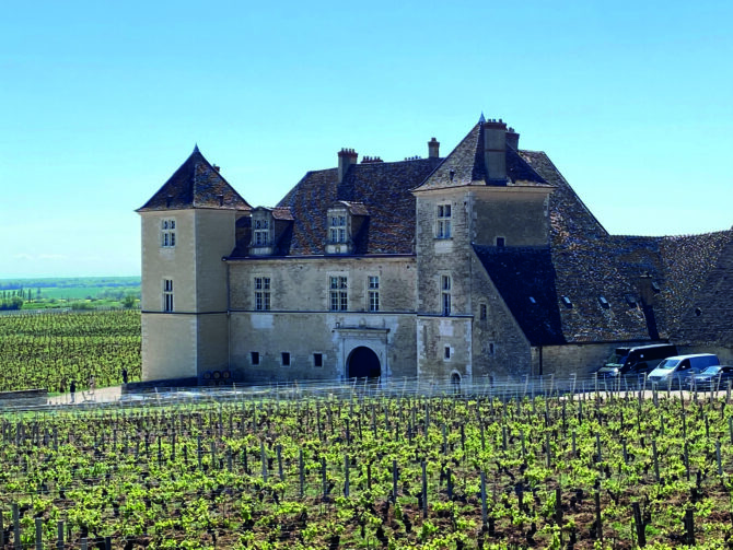 Burgundy’s New Route du Cassis: in Search of Blackcurrants