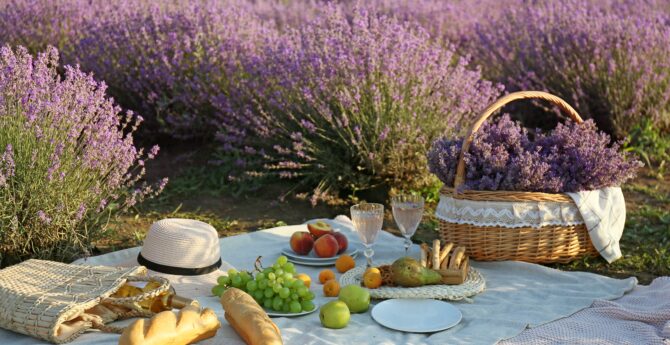 How to picnic the French way