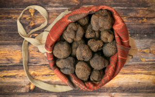 How truffle farming began in France