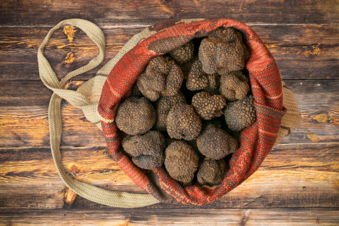 How truffle farming began in France