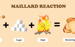 What is the Maillard Reaction?