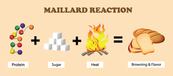 What is the Maillard Reaction?