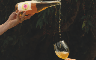 Booze-Free Calvados: What Normandy Offers Beyond Cider