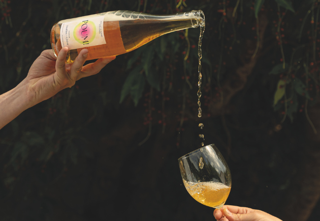 Booze-Free Calvados: What Normandy Offers Beyond Cider